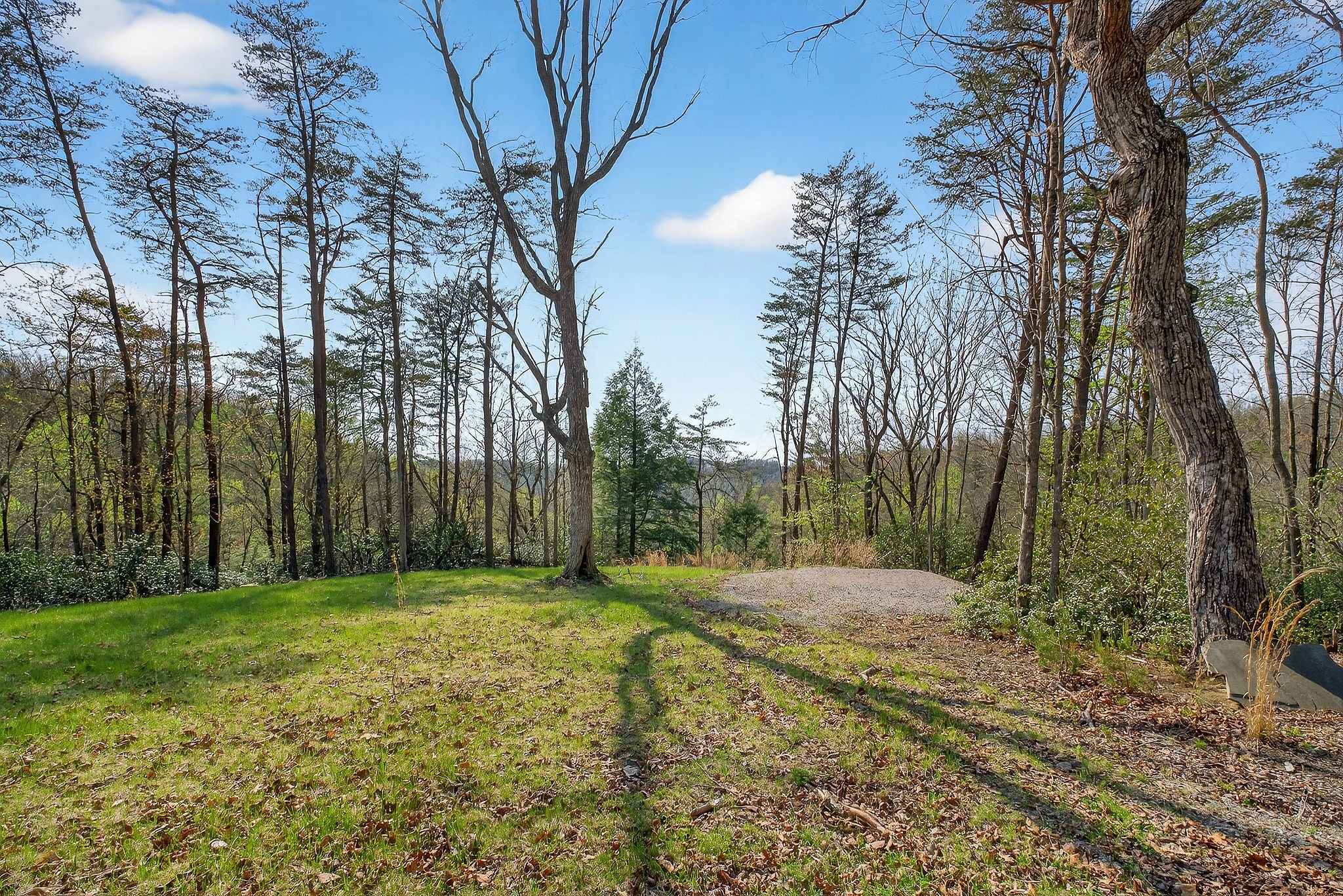 31 Reeves Place Monterey TN 38574