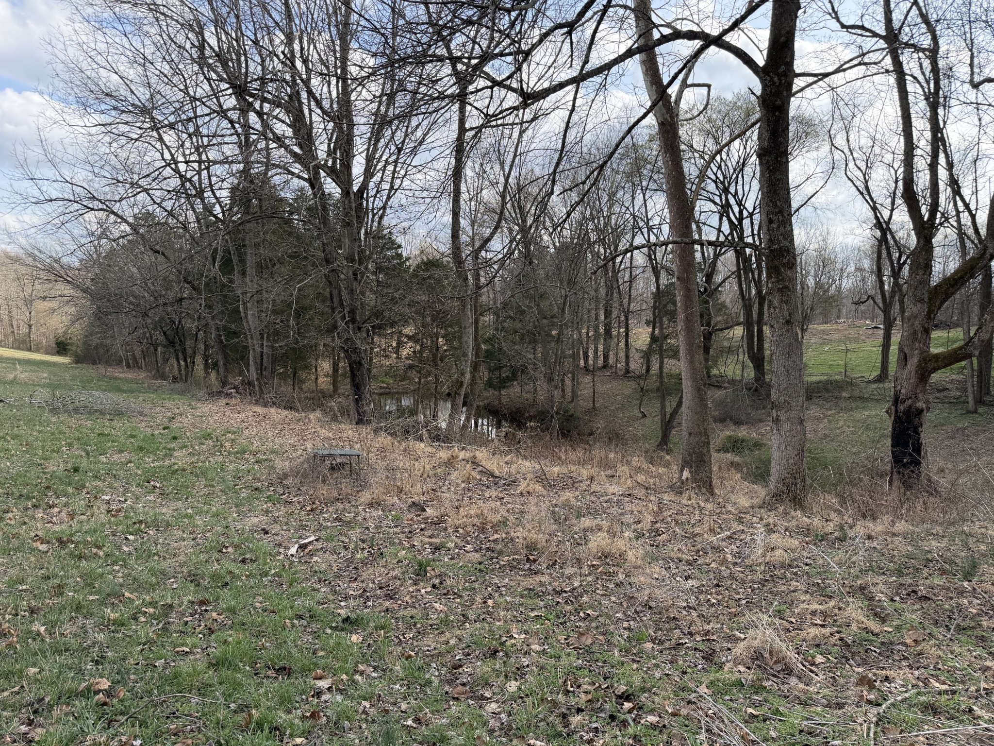 10974 Galen Road Lafayette TN 37083
