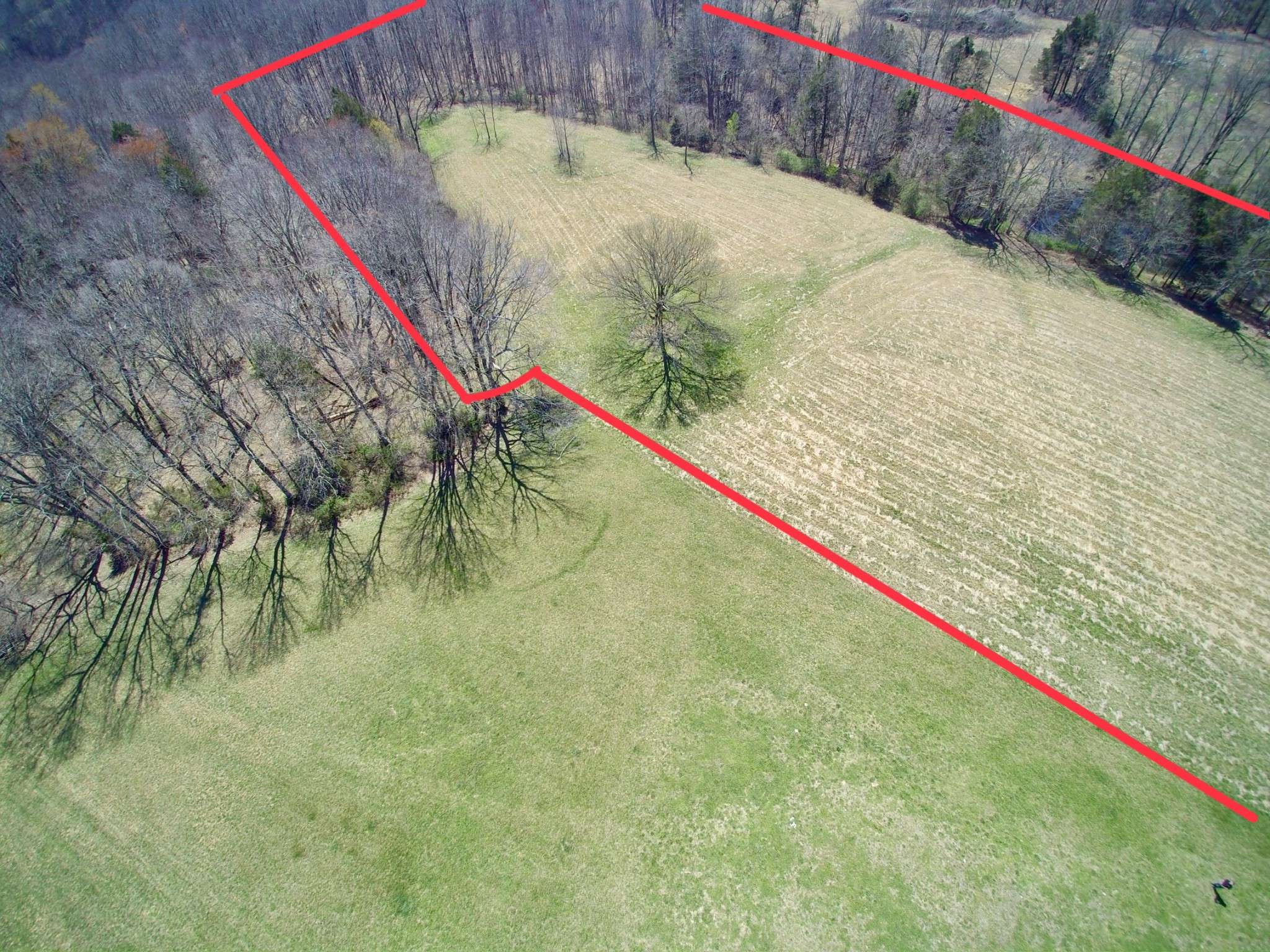10974 Galen Road Lafayette TN 37083