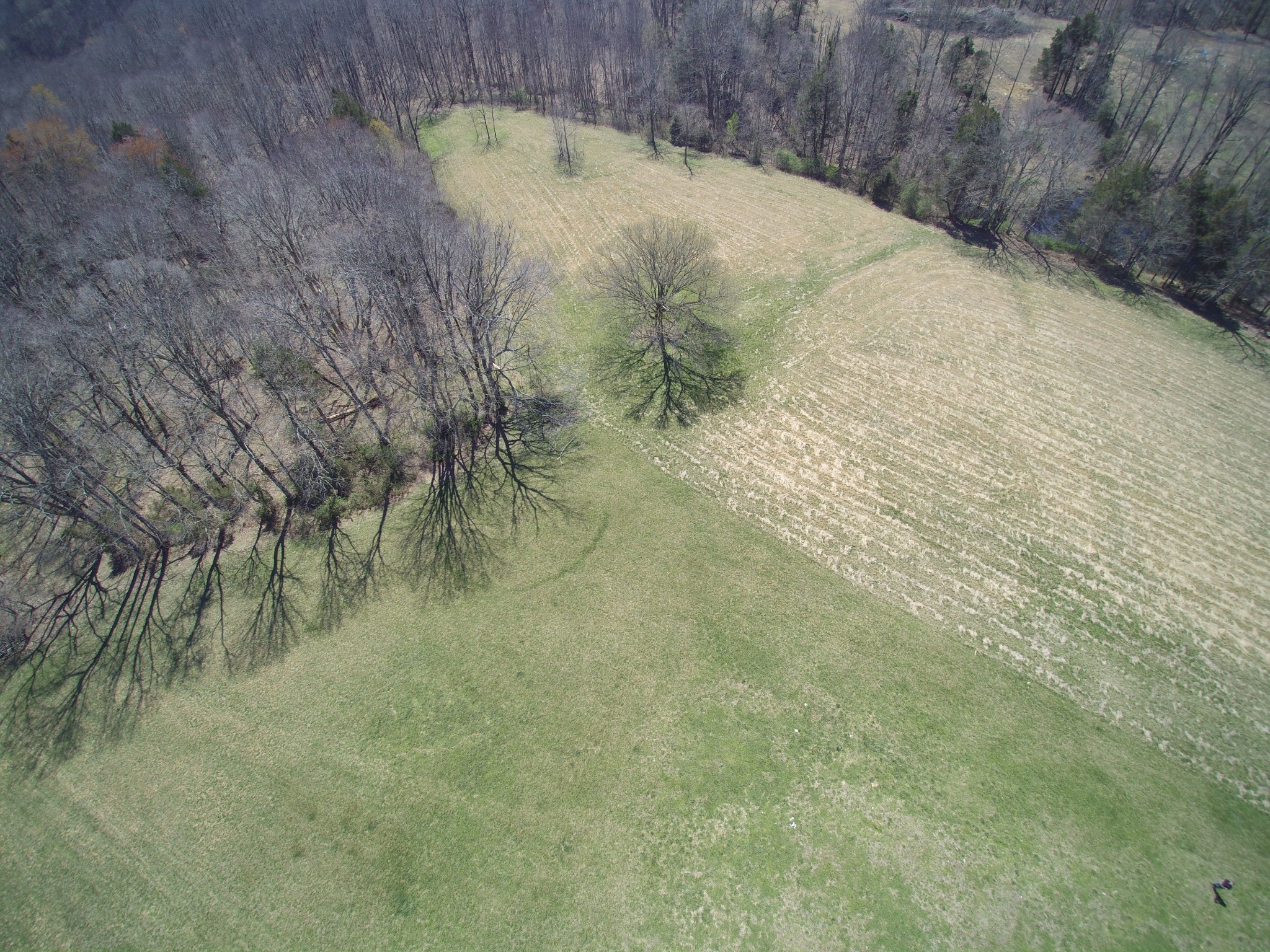 10974 Galen Road Lafayette TN 37083