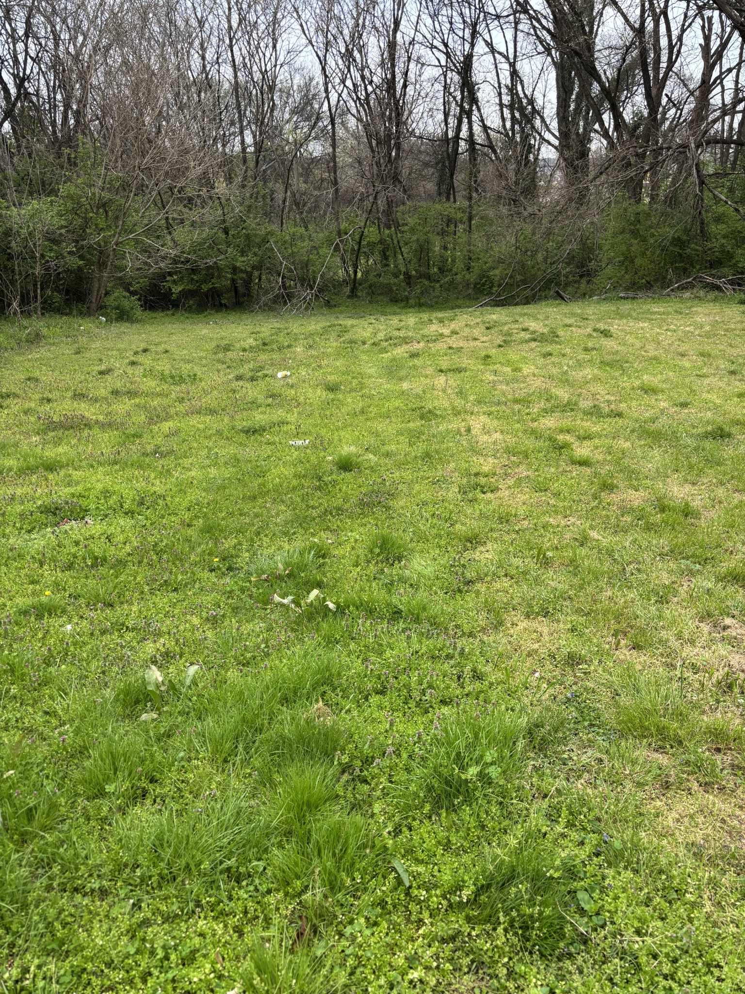 0 W 3rd Street Columbia TN 38401