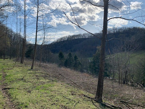 662 Wilmore Hollow Road Pleasant Shade TN 37145