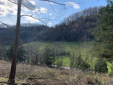 662 Wilmore Hollow Road Pleasant Shade TN 37145