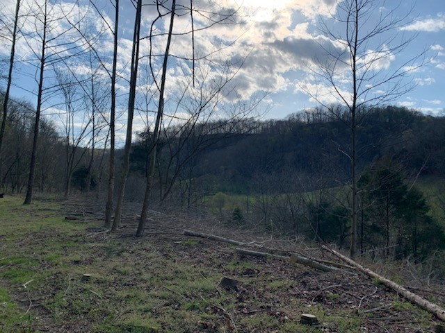 662 Wilmore Hollow Road Pleasant Shade TN 37145