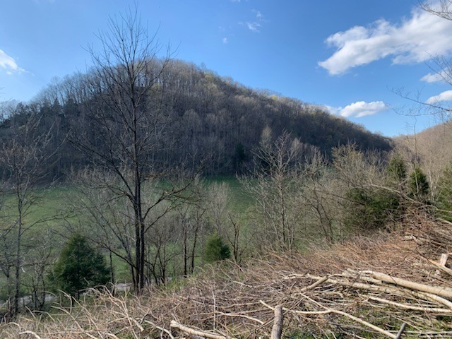 662 Wilmore Hollow Road Pleasant Shade TN 37145