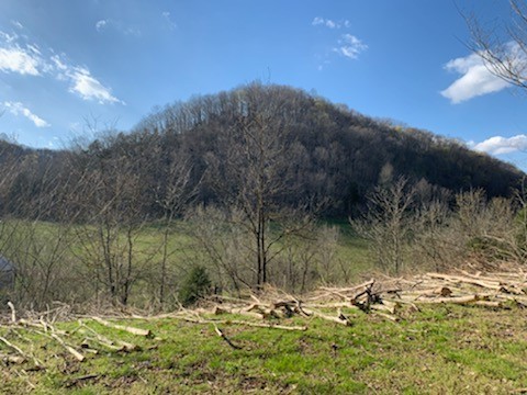 662 Wilmore Hollow Road Pleasant Shade TN 37145
