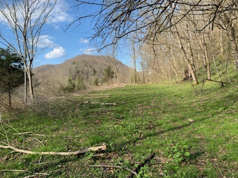 662 Wilmore Hollow Road Pleasant Shade TN 37145