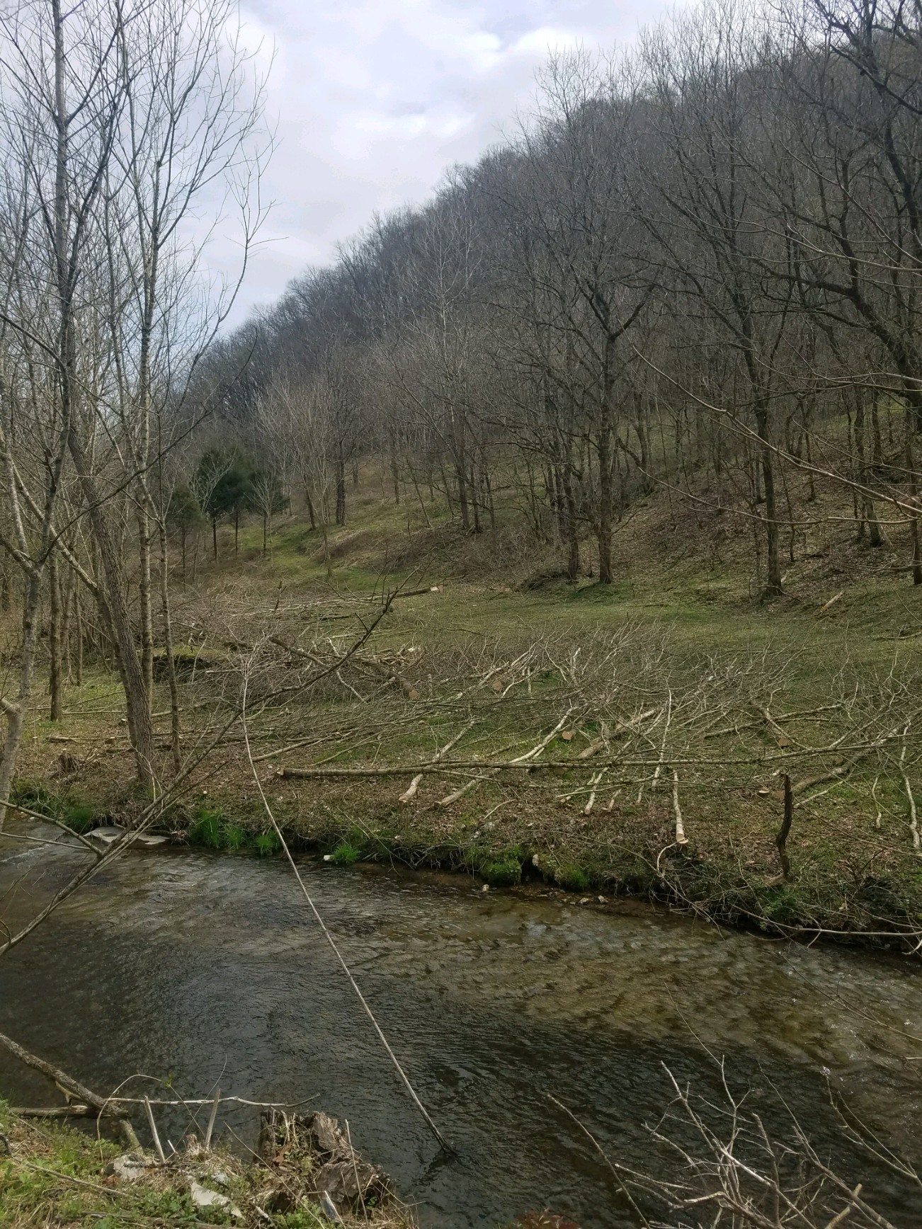 662 Wilmore Hollow Road Pleasant Shade TN 37145