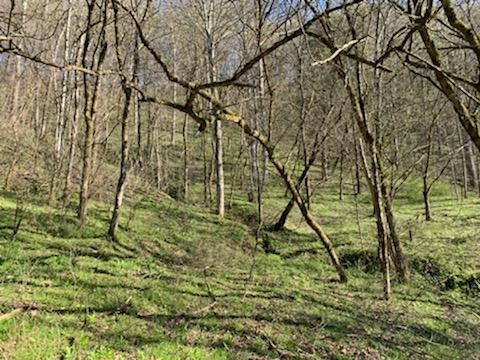 662 Wilmore Hollow Road Pleasant Shade TN 37145