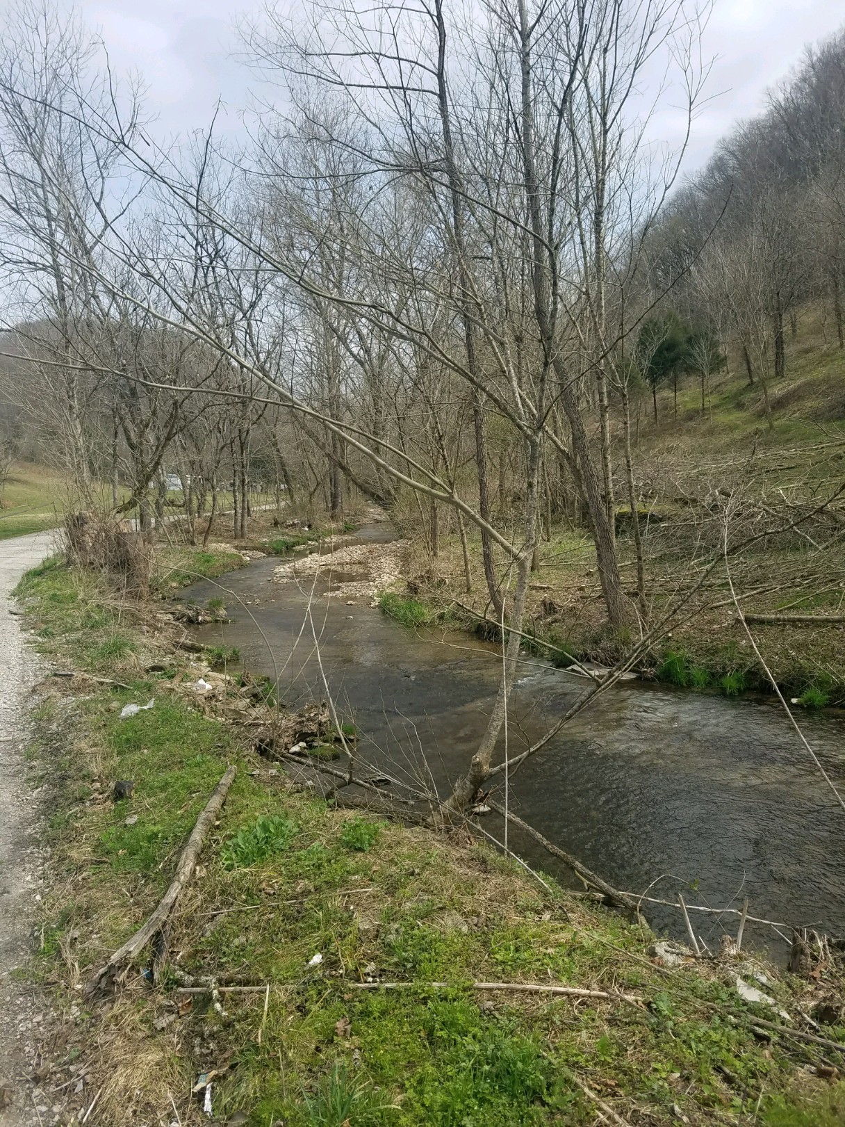 662 Wilmore Hollow Road Pleasant Shade TN 37145