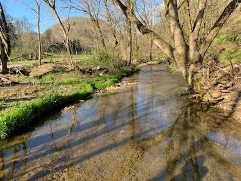 662 Wilmore Hollow Road Pleasant Shade TN 37145