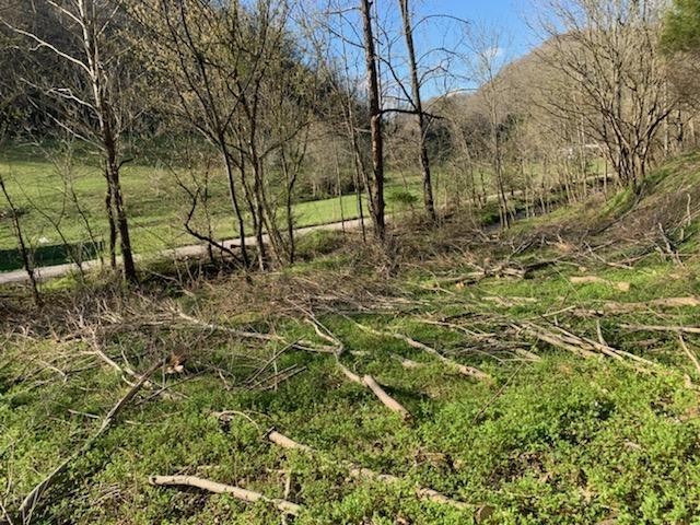 662 Wilmore Hollow Road Pleasant Shade TN 37145