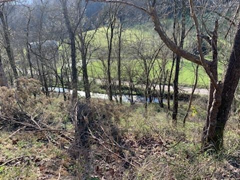 662 Wilmore Hollow Road Pleasant Shade TN 37145