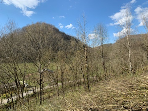 662 Wilmore Hollow Road Pleasant Shade TN 37145