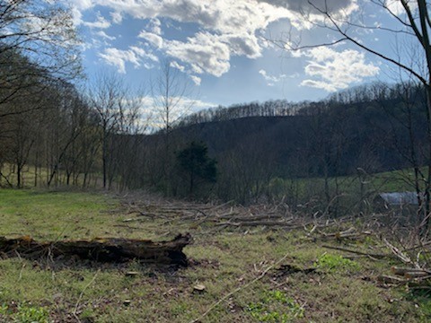662 Wilmore Hollow Road Pleasant Shade TN 37145