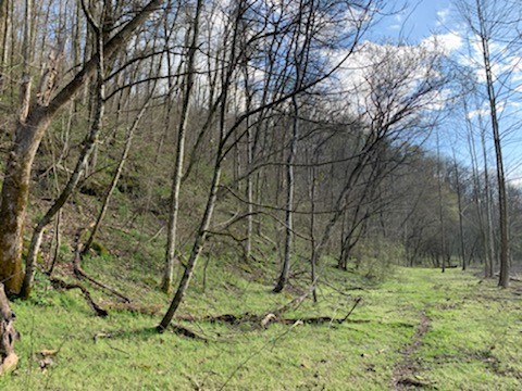 662 Wilmore Hollow Road Pleasant Shade TN 37145