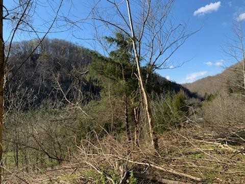 662 Wilmore Hollow Road Pleasant Shade TN 37145