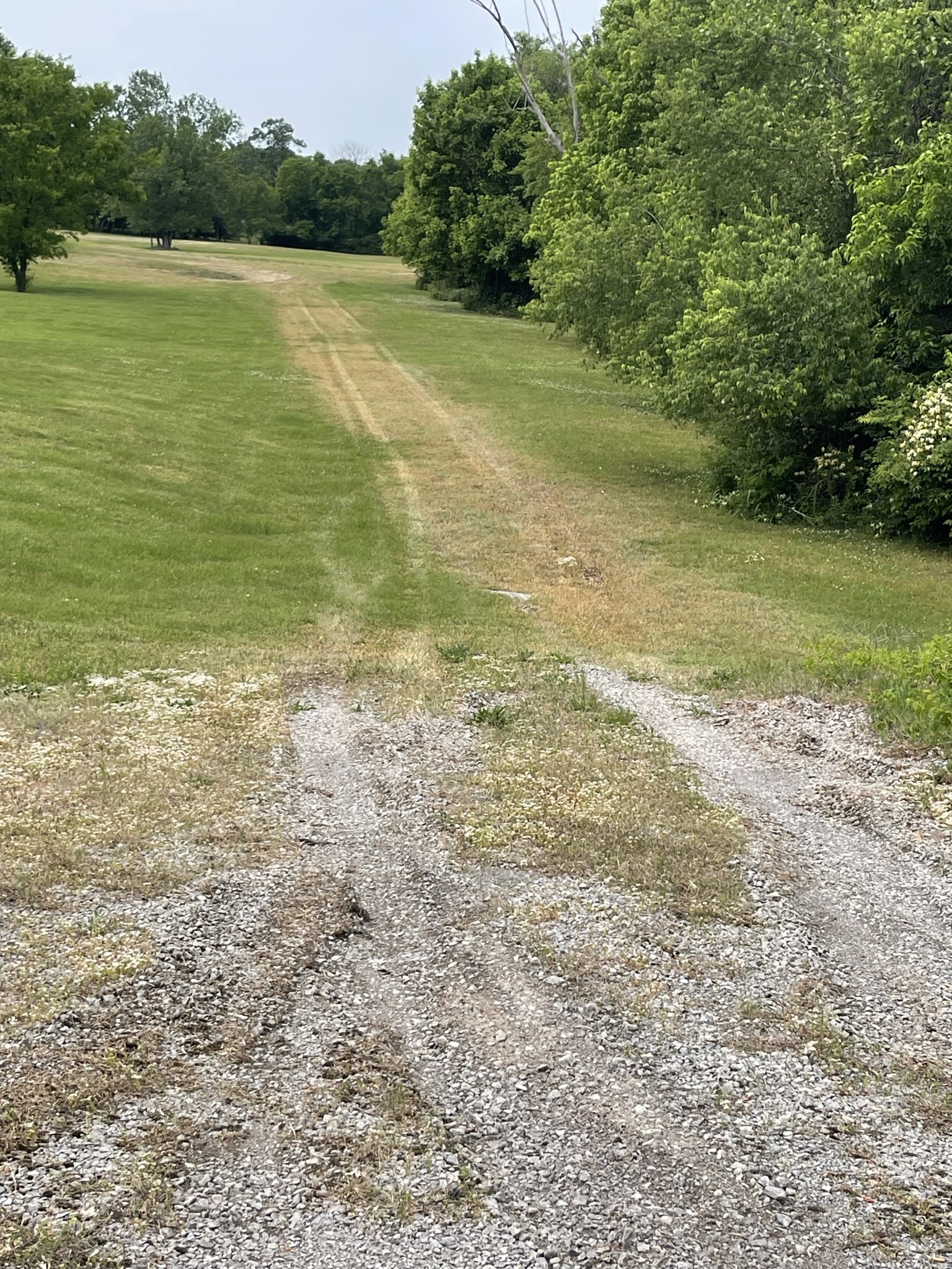 1916 S Mount Juliet Road Mount Juliet TN 37122