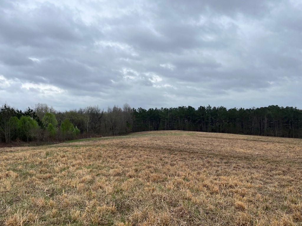 3100 Old Mckenzie Highway Henry TN 38231