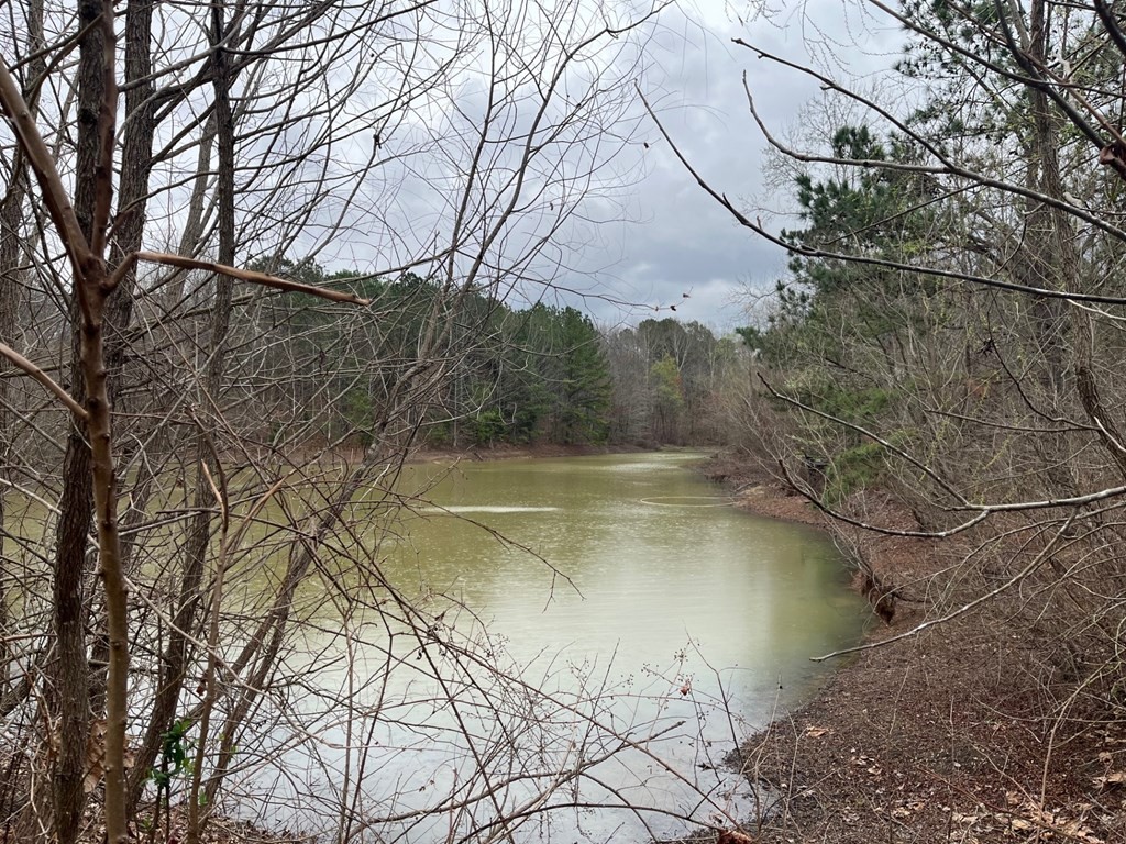 3100 Old Mckenzie Highway Henry TN 38231