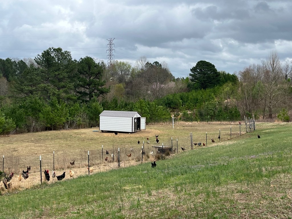 3100 Old Mckenzie Highway Henry TN 38231