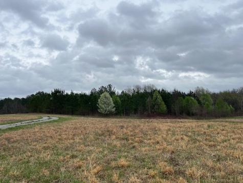 3100 Old Mckenzie Highway Henry TN 38231