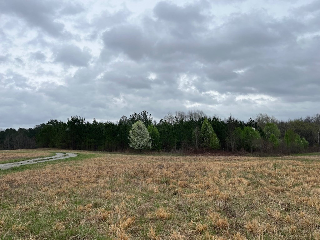 3100 Old Mckenzie Highway Henry TN 38231