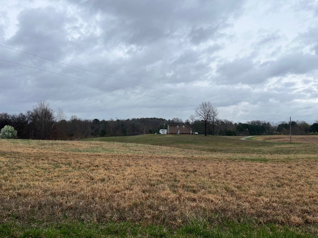 3100 Old Mckenzie Highway Henry TN 38231