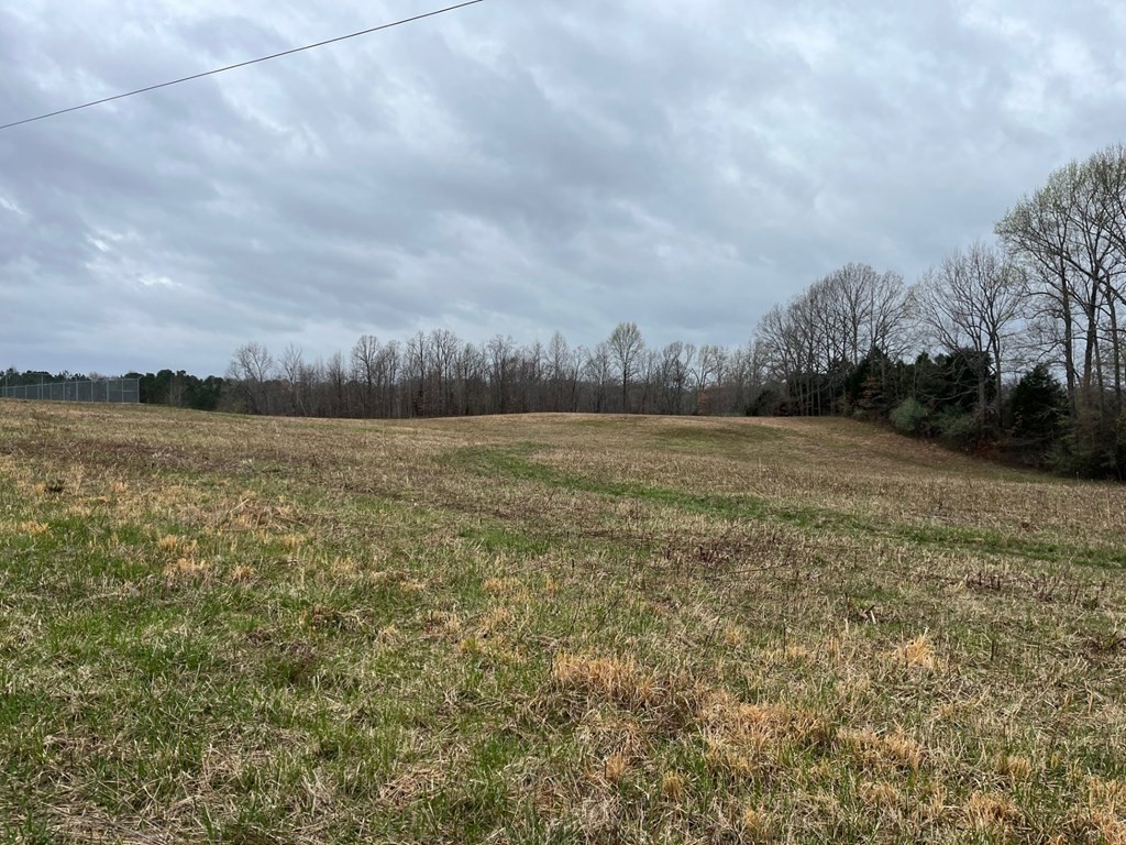 3100 Old Mckenzie Highway Henry TN 38231