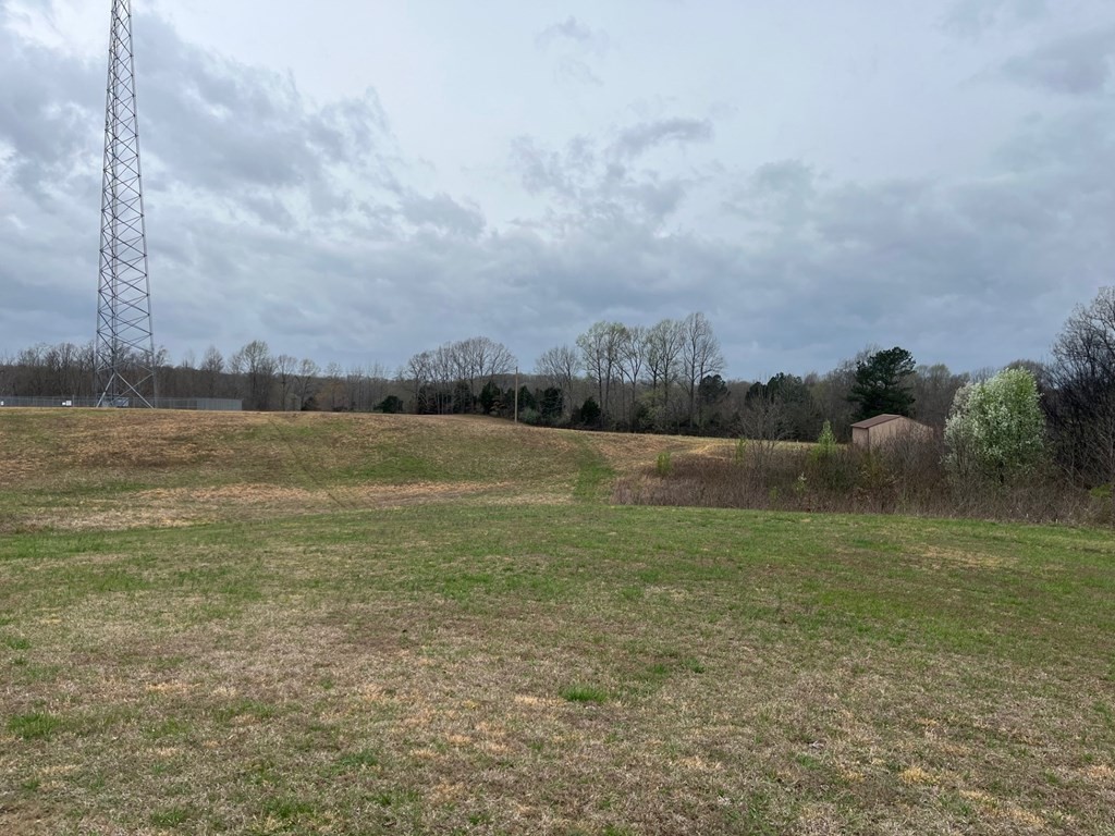 3100 Old Mckenzie Highway Henry TN 38231