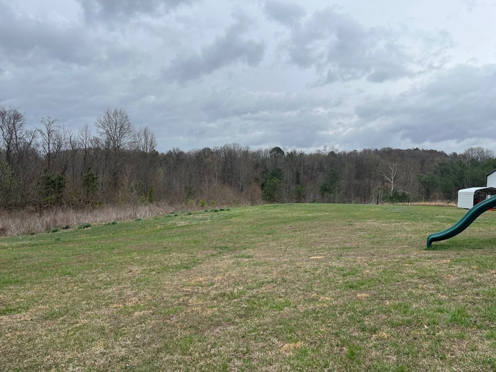 3100 Old Mckenzie Highway Henry TN 38231
