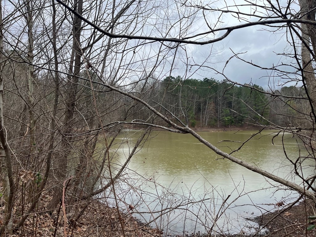 3100 Old Mckenzie Highway Henry TN 38231