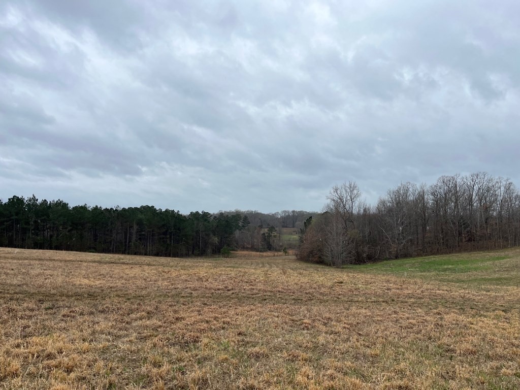 3100 Old Mckenzie Highway Henry TN 38231