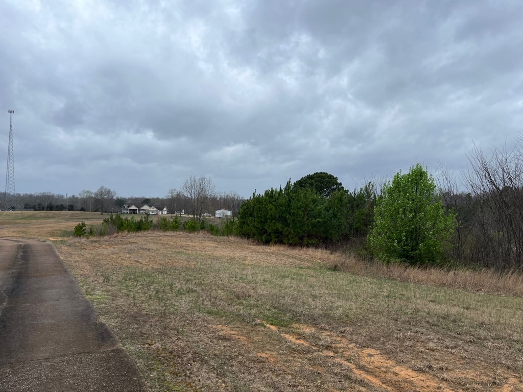3100 Old Mckenzie Highway Henry TN 38231