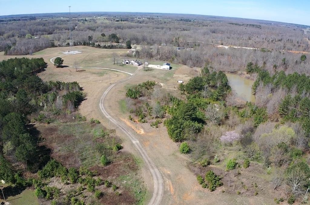 3100 Old Mckenzie Highway Henry TN 38231