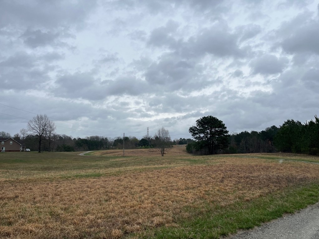 3100 Old Mckenzie Highway Henry TN 38231