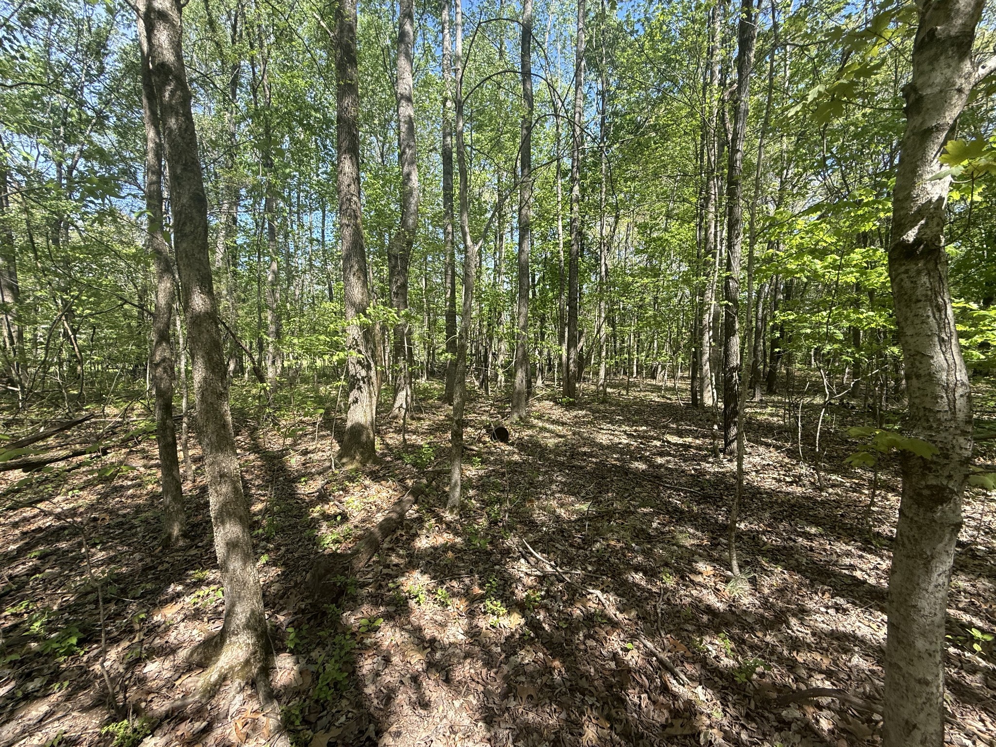 0 Dunbar Cave Road Clarksville TN 37043