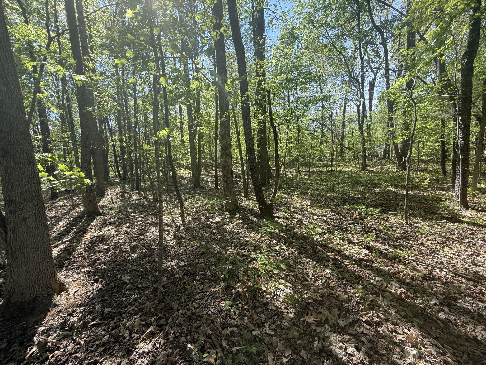 0 Dunbar Cave Road Clarksville TN 37043