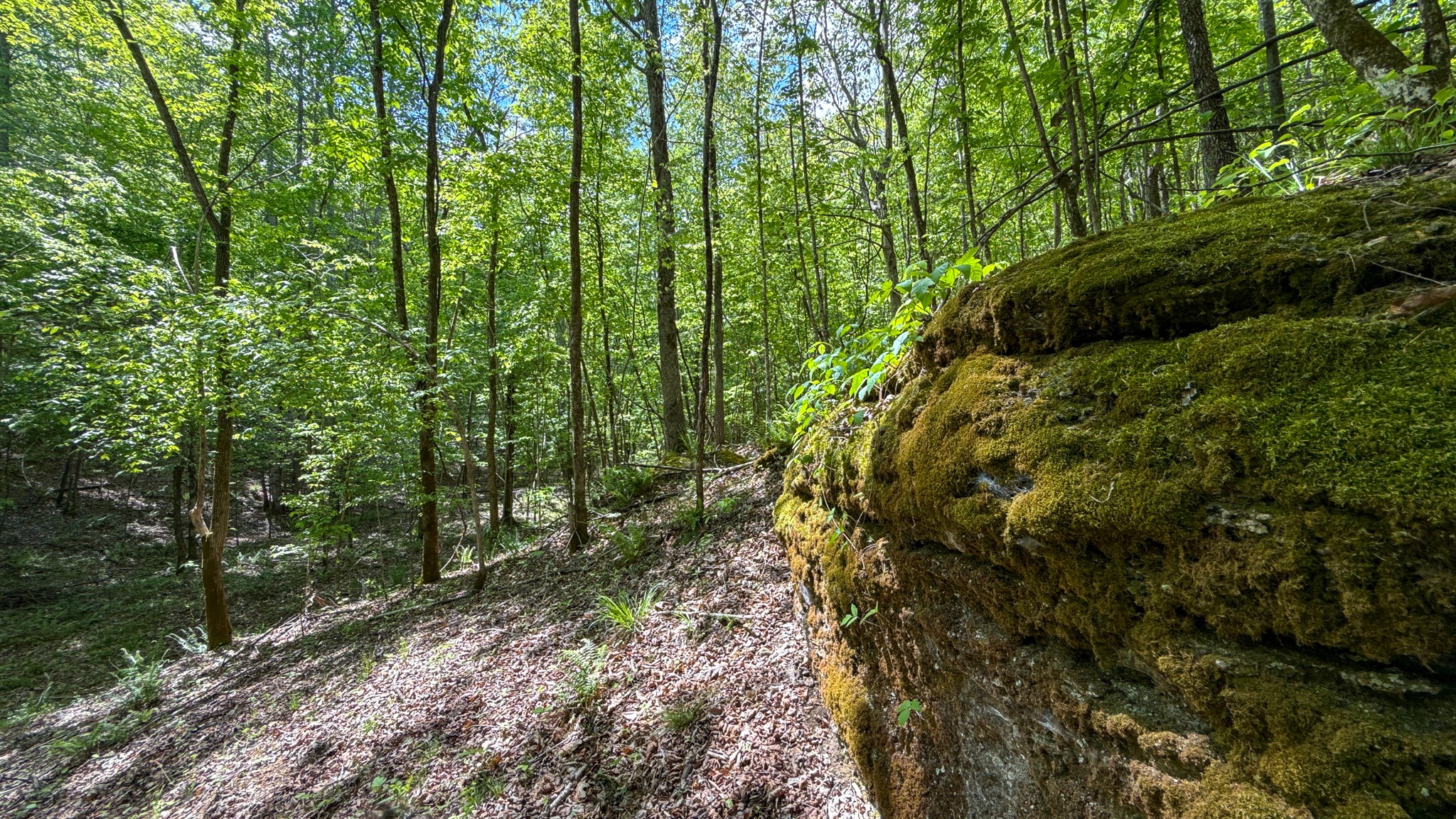 0 Highway 100 Centerville TN 37033