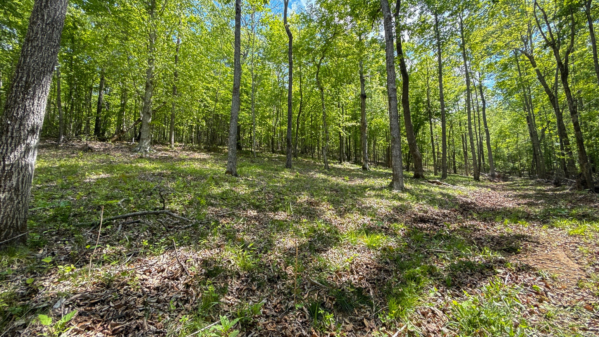0 Highway 100 Centerville TN 37033