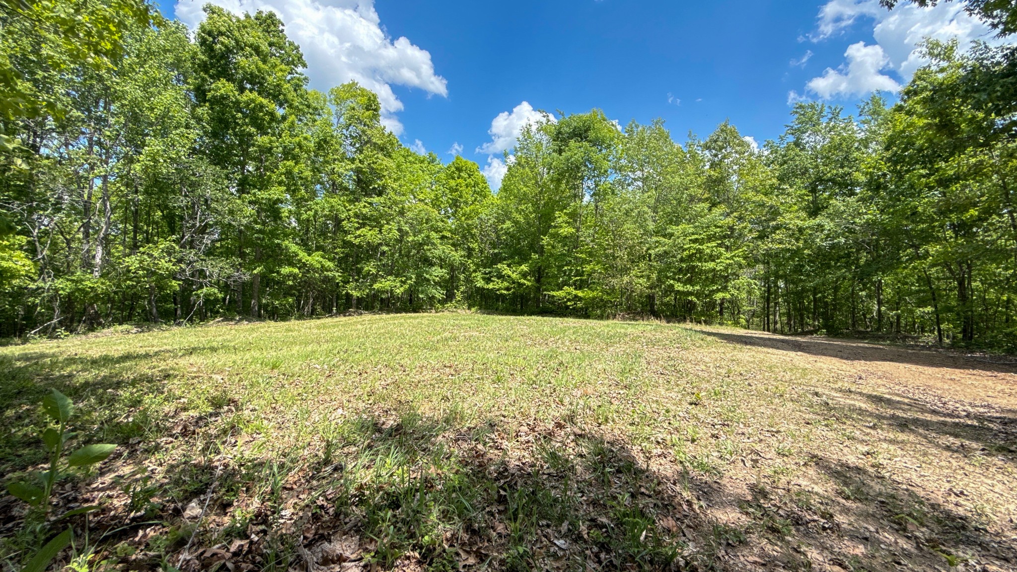 0 Highway 100 Centerville TN 37033