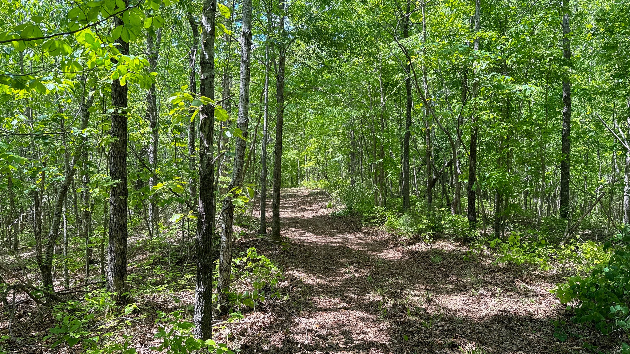 0 Highway 100 Centerville TN 37033