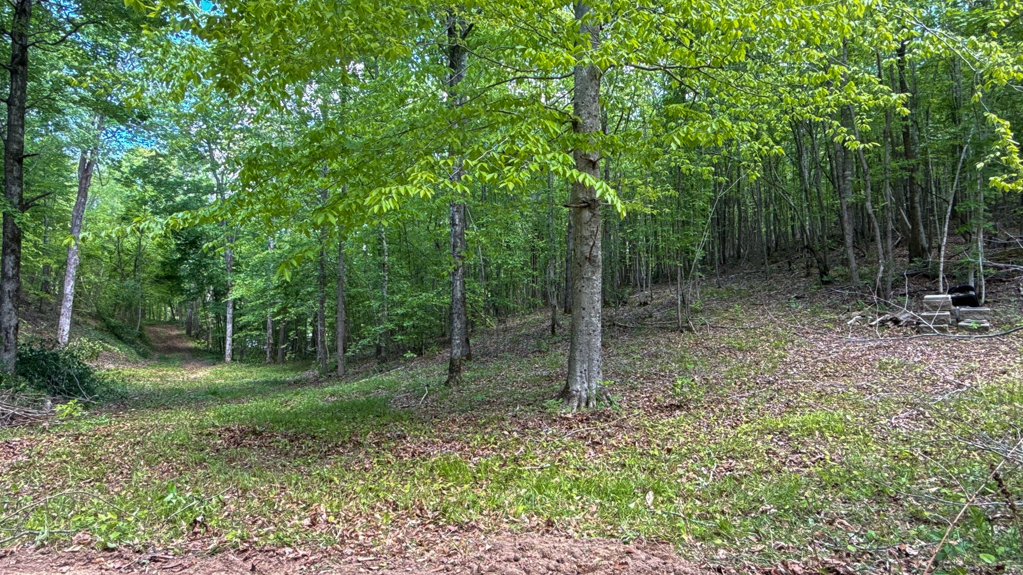 0 Highway 100 Centerville TN 37033