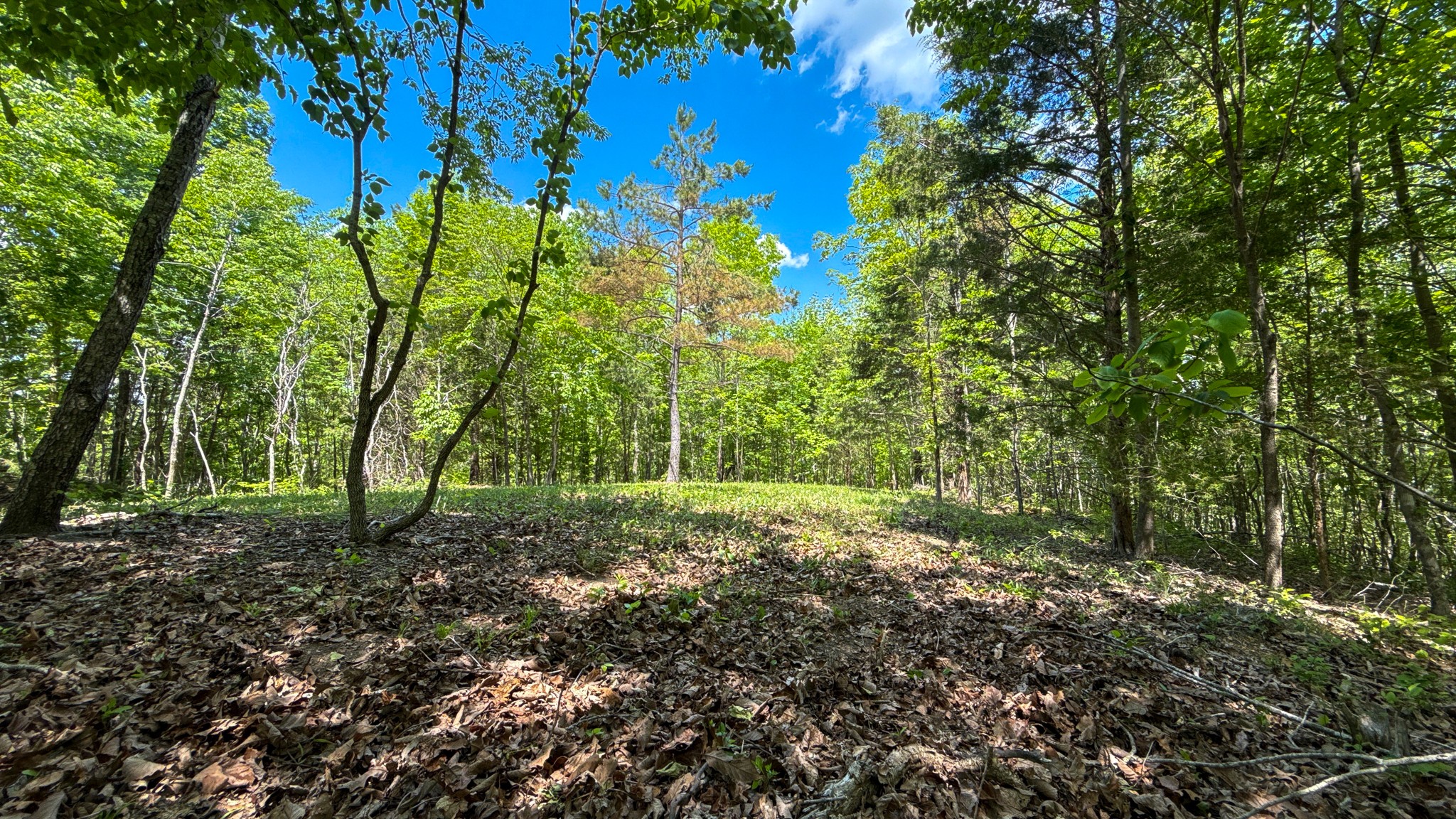 0 Highway 100 Centerville TN 37033