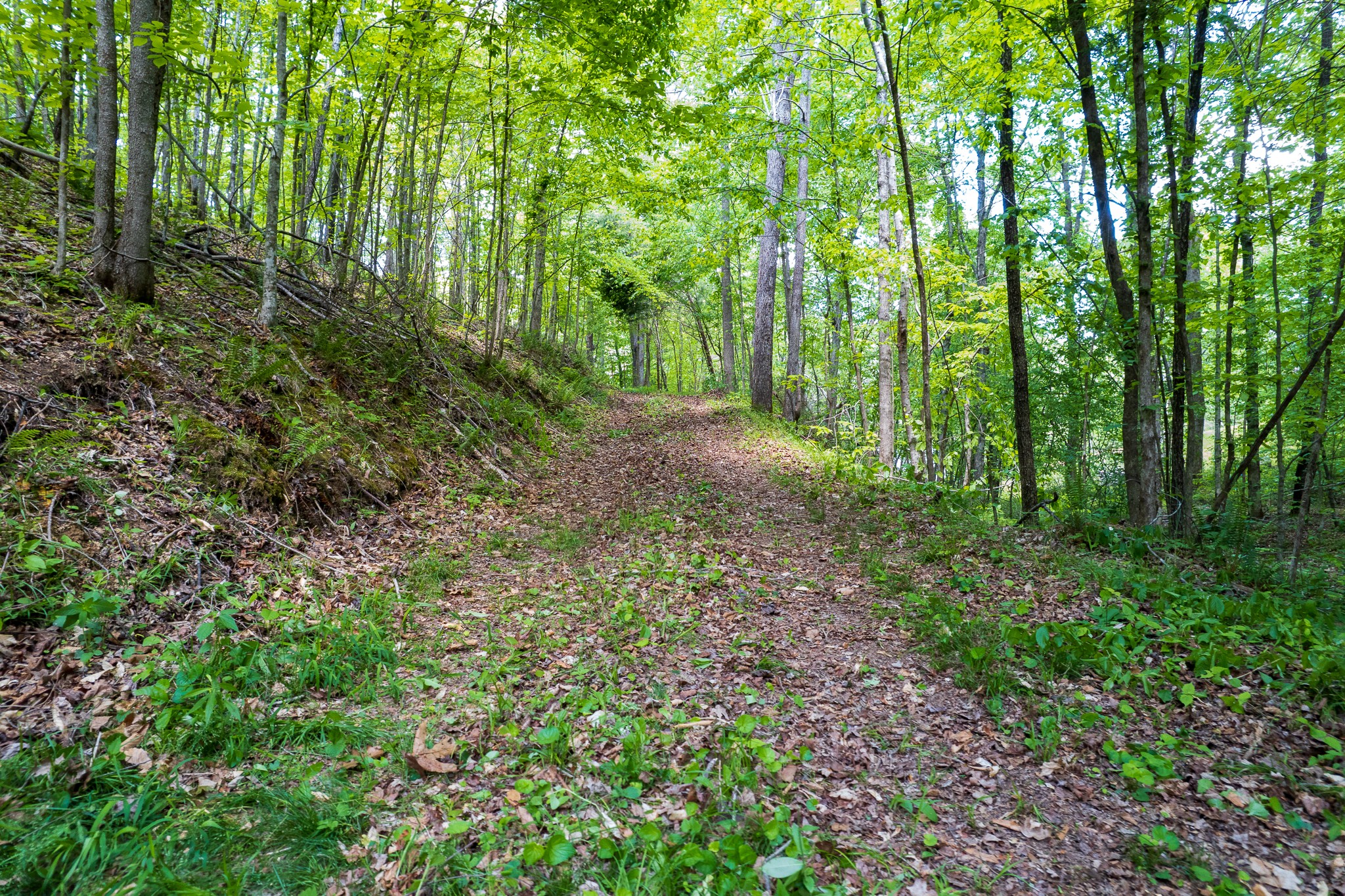 0 Highway 100 Centerville TN 37033