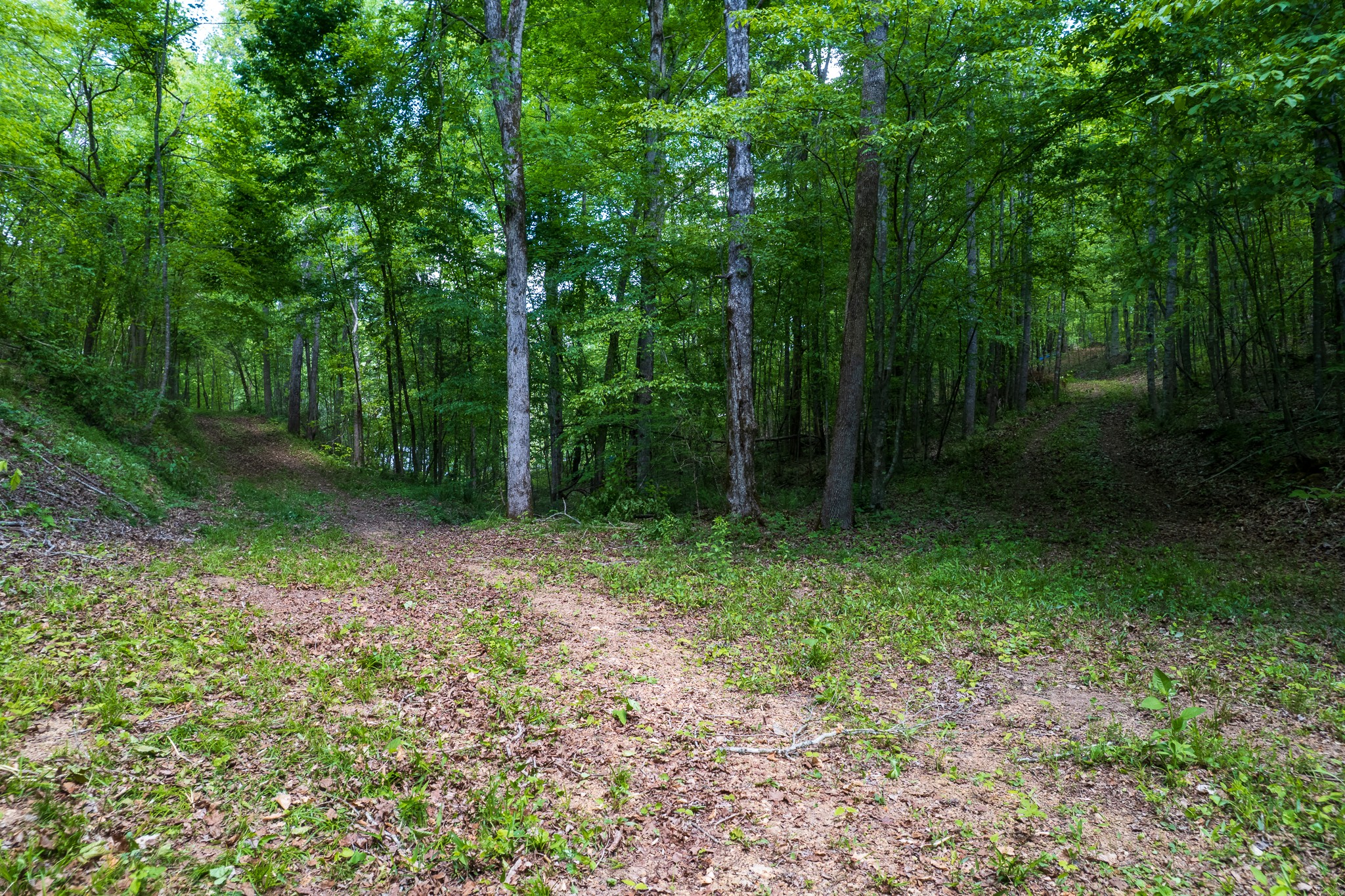 0 Highway 100 Centerville TN 37033