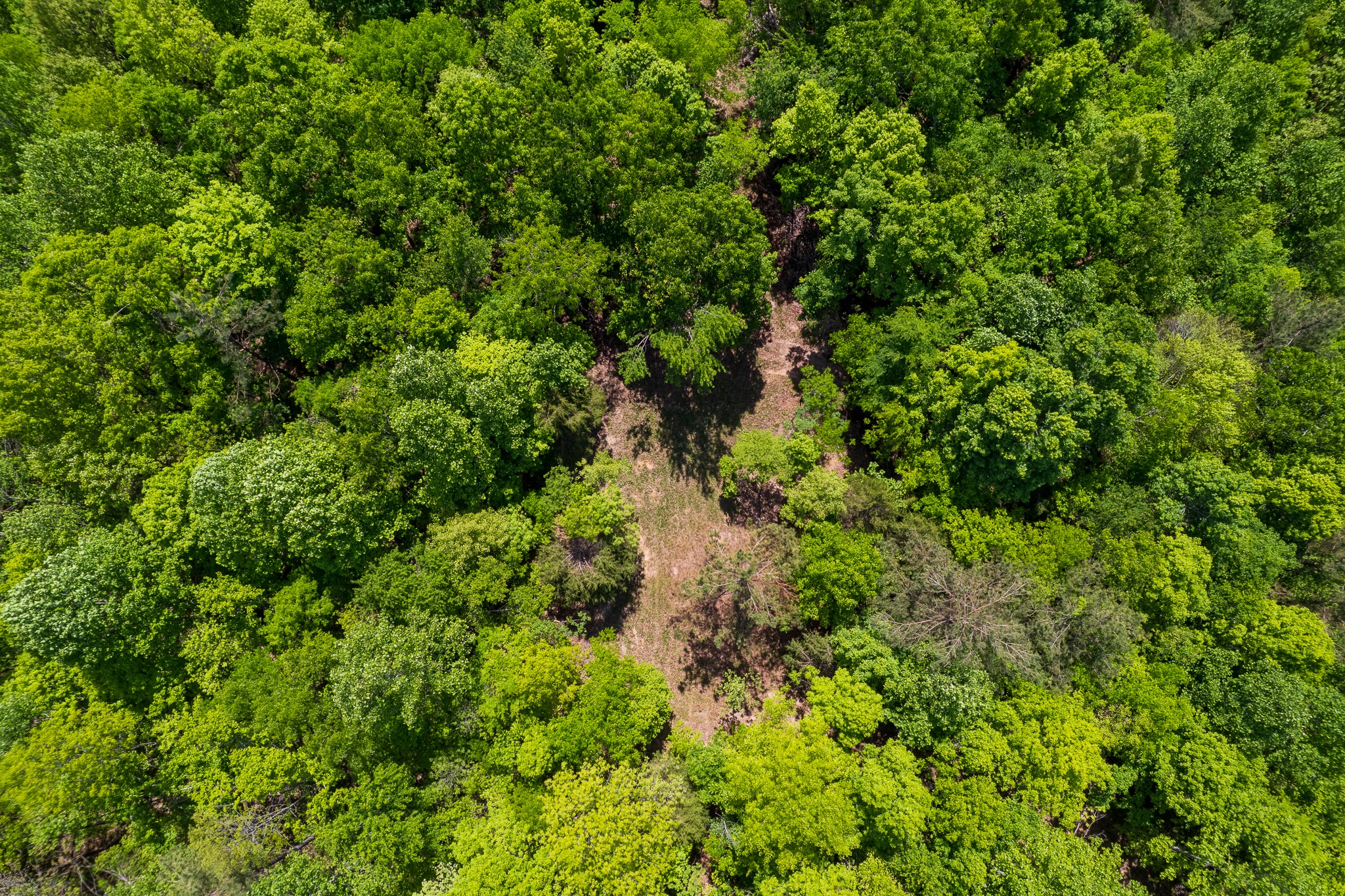 0 Highway 100 Centerville TN 37033