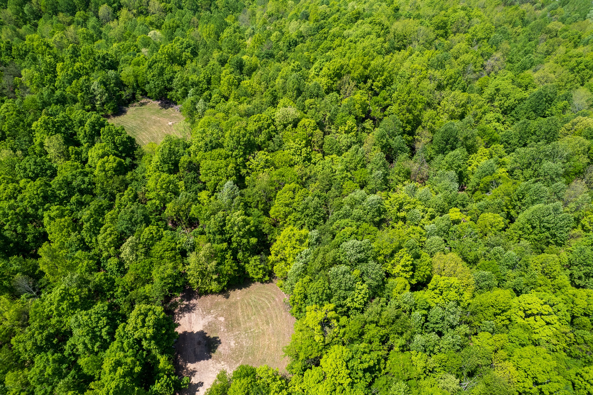 0 Highway 100 Centerville TN 37033