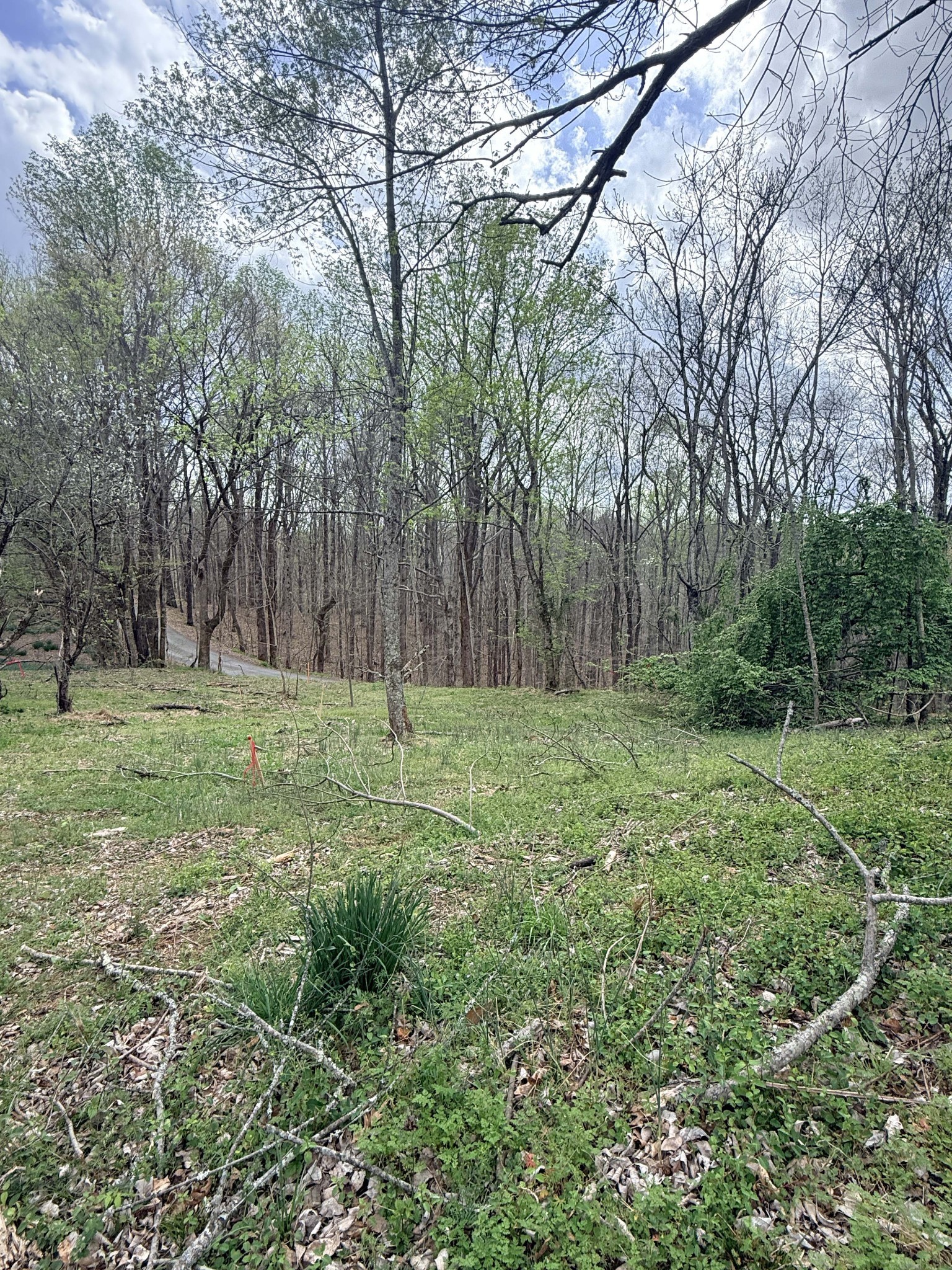 935 Sugar Tree Knob Road Liberty TN 37095
