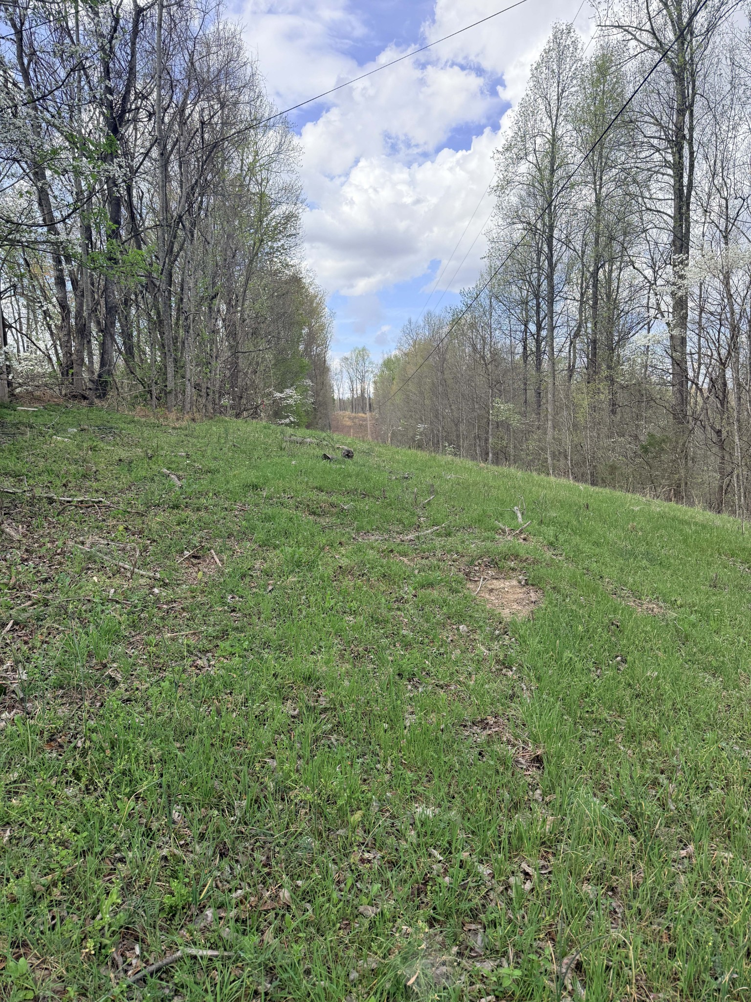 935 Sugar Tree Knob Road Liberty TN 37095